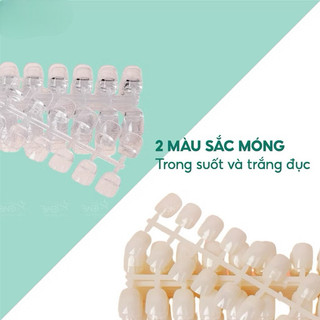 móng mẫu phom vuông tập sơn - Móng mẫu form vuông vẽ chuyên dụng