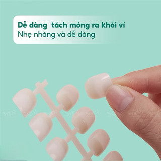 móng mẫu phom vuông tập sơn - Móng mẫu form vuông vẽ chuyên dụng
