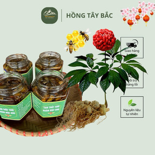  TAM THẤT TƯƠI NGÂM MẬT ONG RỪNG LAI CHÂU   Shop Ngâm Sẵn Về Chỉ Sử Dụng Pho.ng U Nangg Phục Hồi S.ức Kh.oẻ  