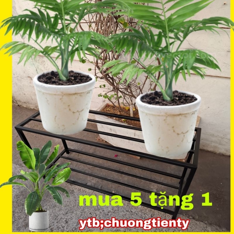 kệ 2 tầng rộng 30cm dài 60cm _120cm cao 60cm
