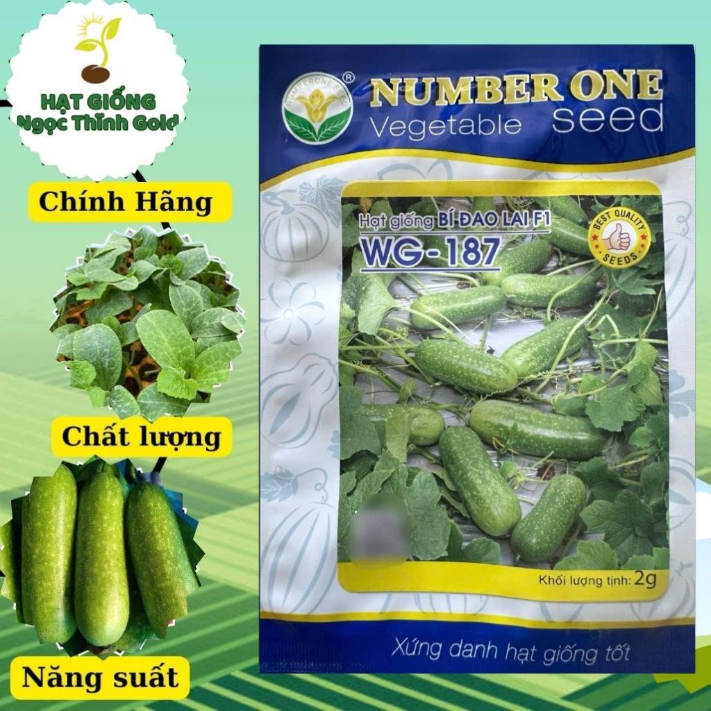 HẠT GIỐNG BÍ ĐAO LAI F1 WG-187 NUMBER ONE SEED (2G)