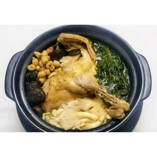 Combo 10 bầu Cây ngải cứu (nhả ngải, bắc ngải)