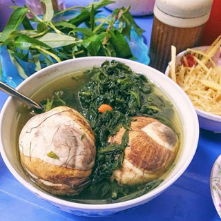Combo 10 bầu Cây ngải cứu (nhả ngải, bắc ngải)
