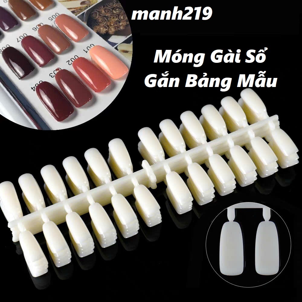 Móng gài sổ, gắn bản mẫu 12 móng Mẫu Nail 120 Ô - manh219