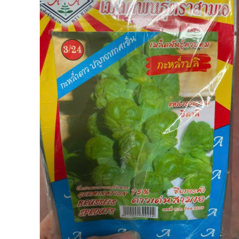 Hạt giống Bắp Cải Tí Hon Xanh (Cải Bắp Mini xanh) nhập nguyên gói Thái Lan