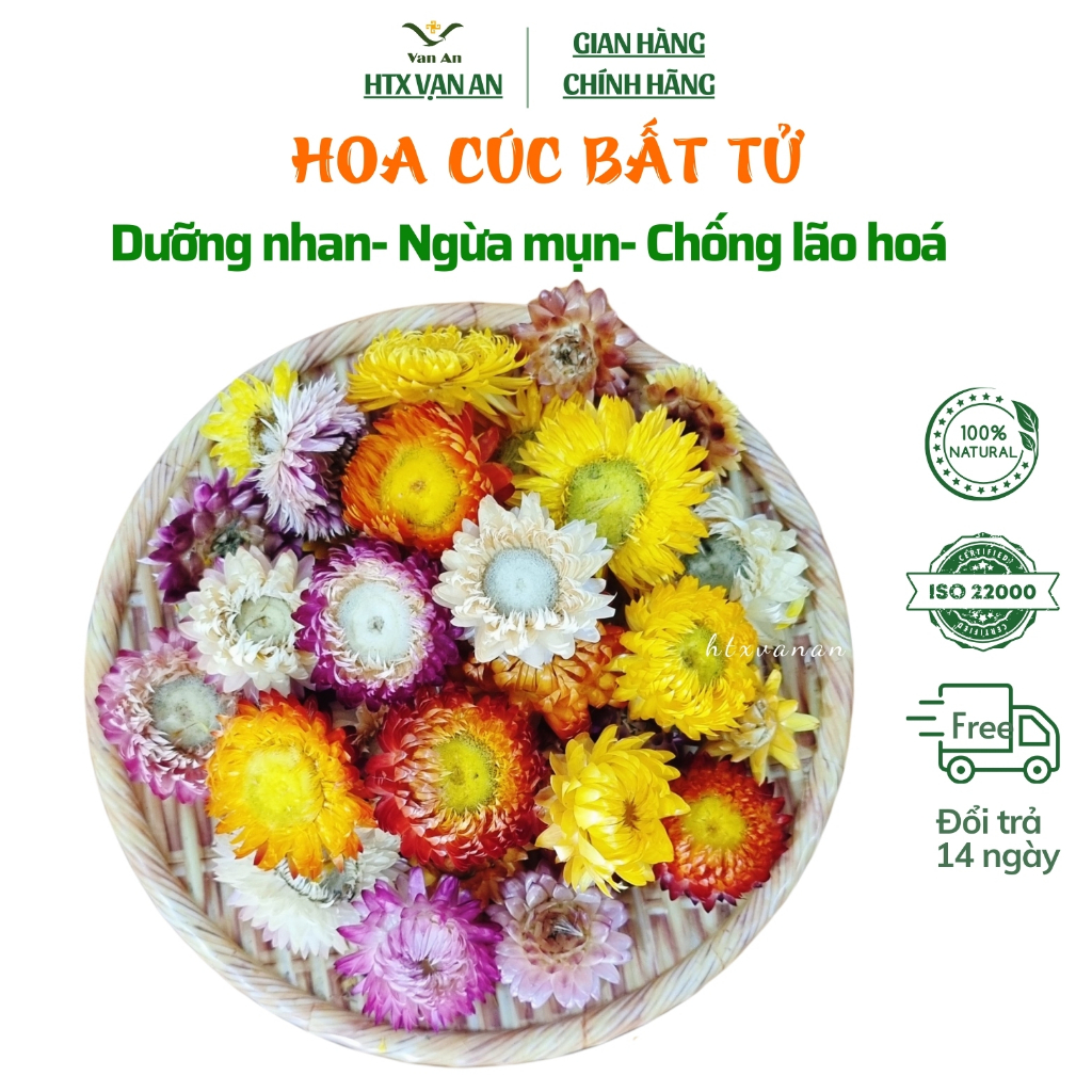 Trà hoa cúc bất tử khô dưỡng nhan đẹp da hoặc làm hoa khô trang trí