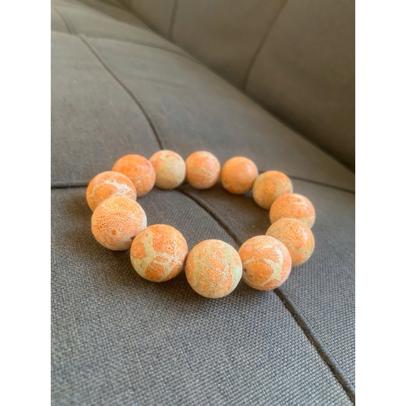 san hô vàng để mộc đủ size