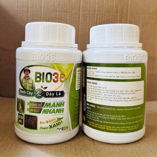  Combo 2 hộp Bio 36   hàng chính hãng 500g  siêu kích rễ kích đọt phục hồi cây suy sau 7 ngày 