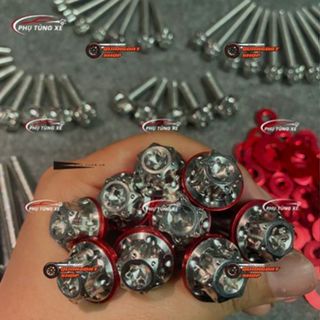   Flash Sale  Ốc Salaya Ốc Inox 304 Cao Cấp Size 6Li 8Li 10Li  M3  Tặng Long Đền Đỏ Full Đầy Đủ Kích Cỡ Phụ Kiện Xe Máy 