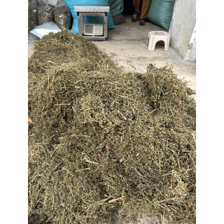 1kg Cam thảo đất [ Phơi khô sạch, mới ] giá tốt LOẠI 1