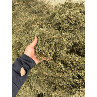 1kg Cam thảo đất [ Phơi khô sạch, mới ] giá tốt LOẠI 1