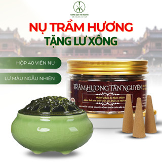 Combo nụ trầm hương Tân Nguyên và lư xông gốm, hộp nụ trầm 40 viên loại phổ thông, xông nhà, thiện, thư giãn, thờ cúng