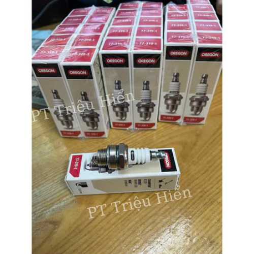 Bugi 2 thì Oregon hàng xịn