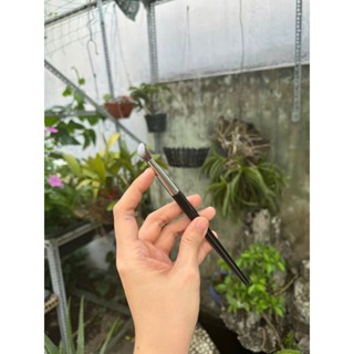 CỌ MÁ HỒNG – CKD MINI XÉO UNBRAND MULTIUSE BRUSH