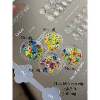 Phụ kiện nail - Hũ hoa khô cao cấp H (30b)