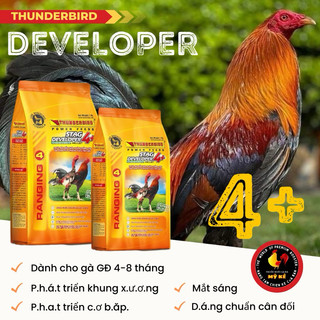 Thức ăn gà đá từ 4 tháng tuổi Thunderbird Developer 4+ túi 1kg