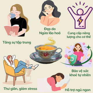 Trà Sơn Tra Đường Phèn Mật Ong Thảo Mộc Vạn An Hỗ Trợ Tim Và Mạch Máu Huyết Áp Cao Giảm Tích Mỡ