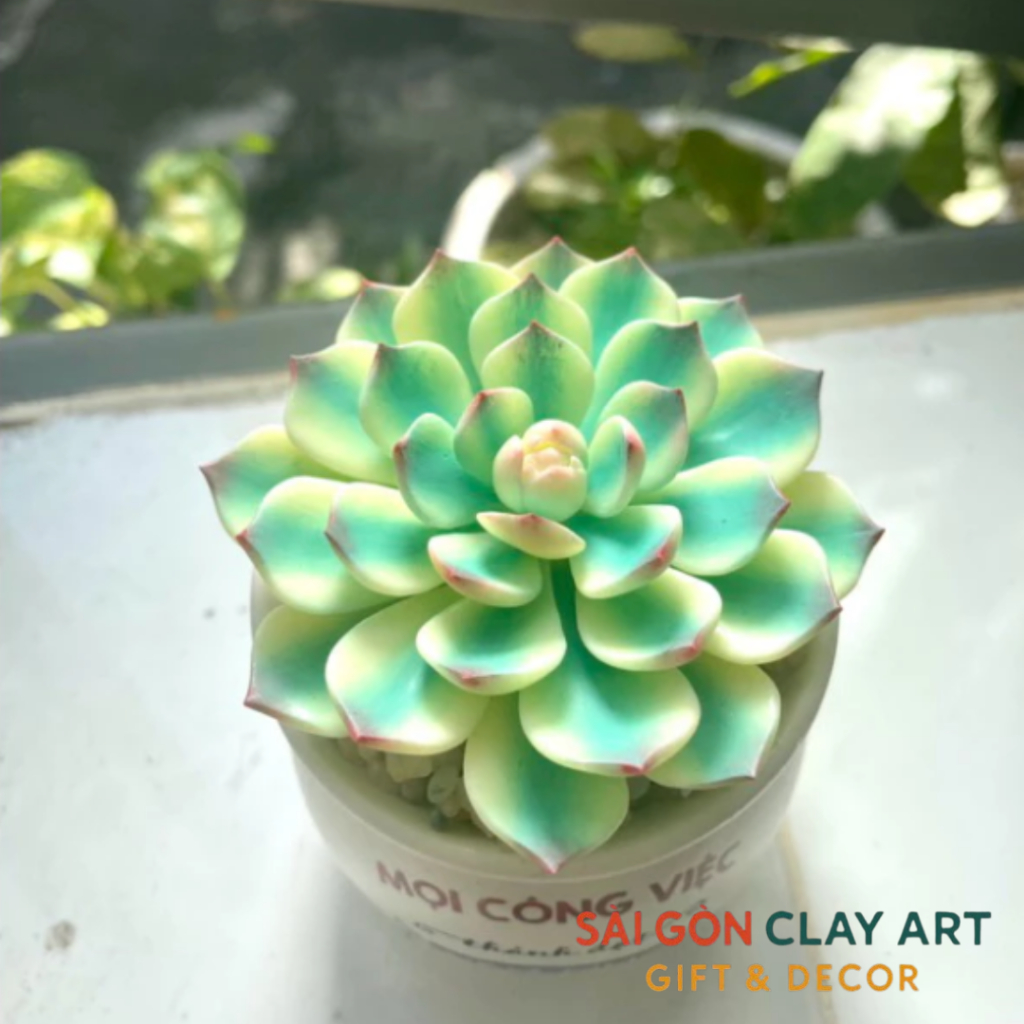 Sen đá var bằng đất sét đường kính 8cm