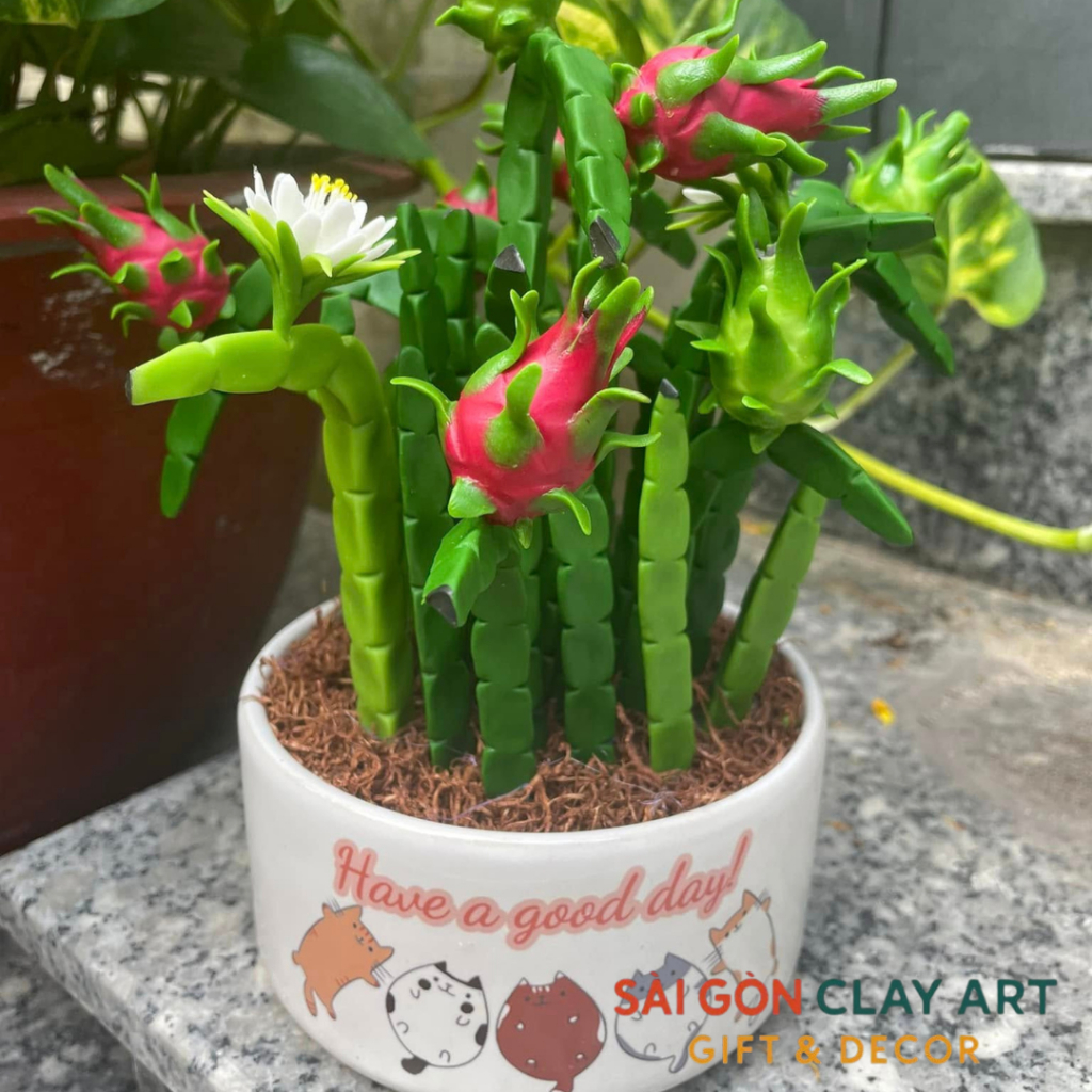 Chậu thanh long bằng đất sét để bàn