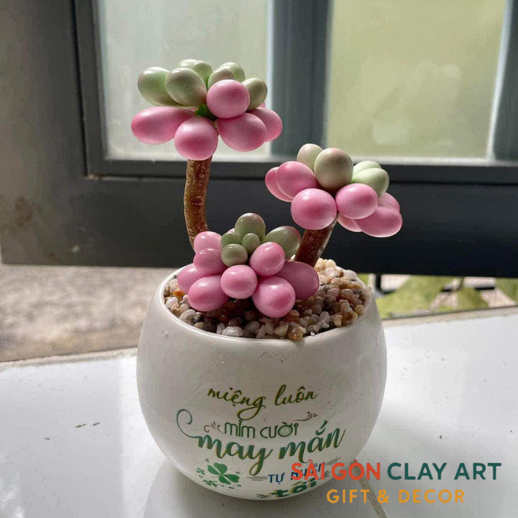 [Sen đá đất sét] Chậu sen đá sỏi hồng làm từ đất sét