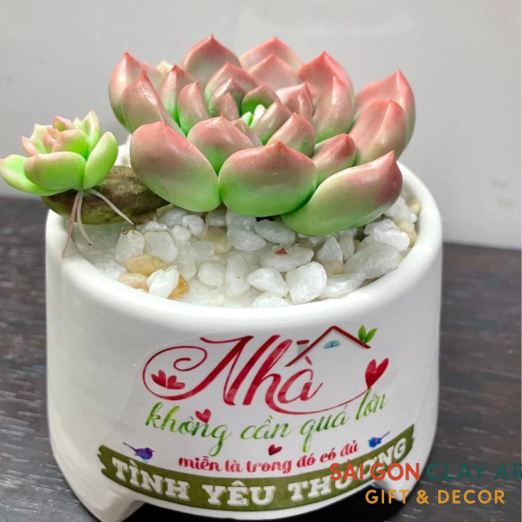 Sen đá đất sét chậu sứ có nhánh con