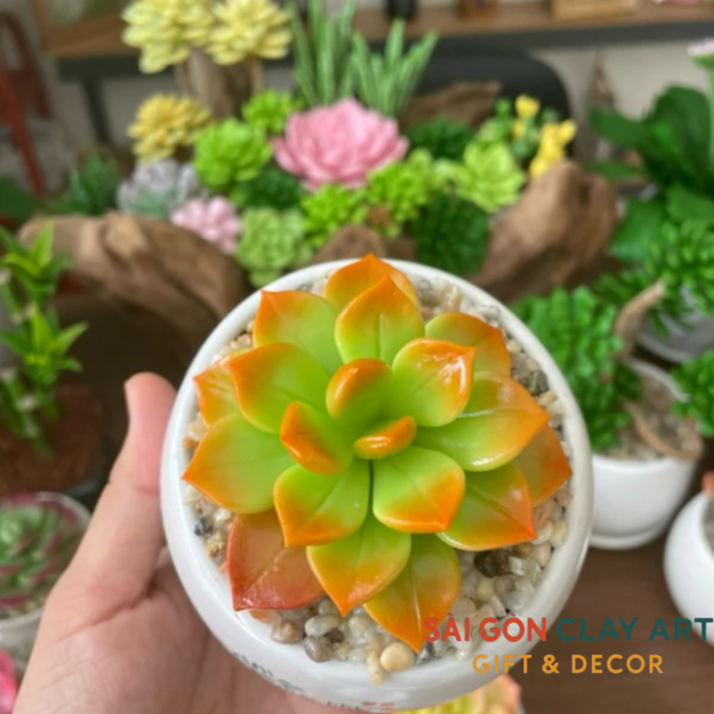 [Sen đá đất sét] Sen Đá Đất Sét Chậu Sứ kích thước 6-7cm