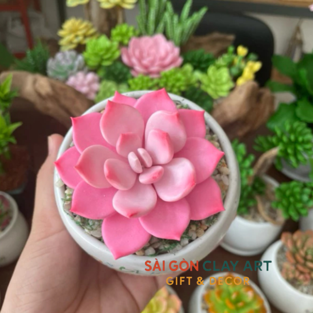 Sen đá bằng đất sét chậu sứ kích thước 6-7cm