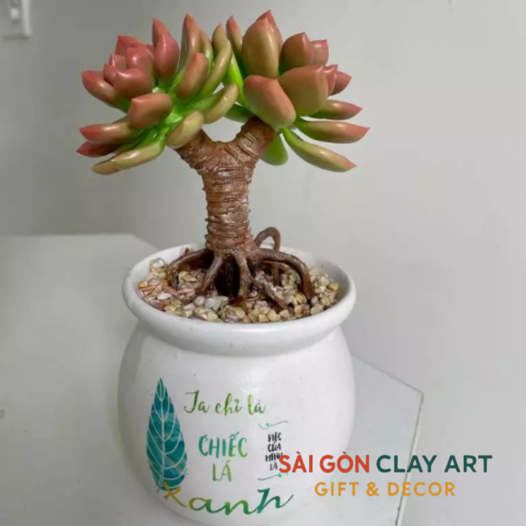 [Sen đá đất sét] Chậu sen đá làm bằng đất sét 2 nhánh gốc thụ