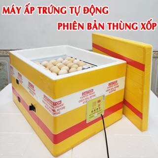 Máy Ấp Trứng Tự Động Thùng Xốp 60 Trứng Tuyên Quang