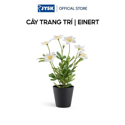 Cây trang trí | JYSK EINERT | xi măng/PE | đen/xanh lá | Ø18xC32cm