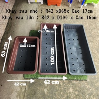 Khay trồng rau - Khay nhựa Talopa