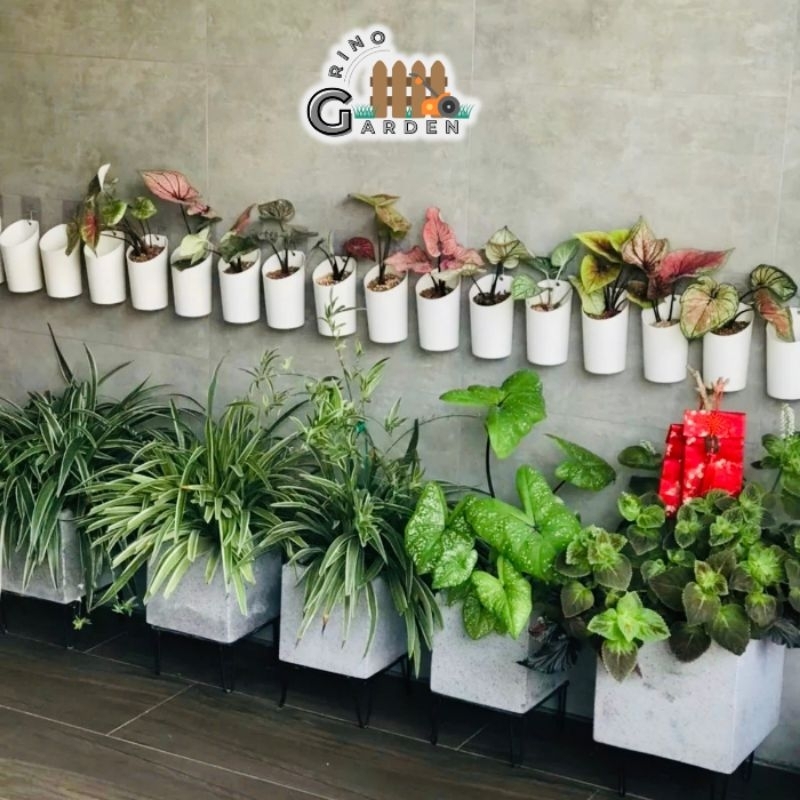 Chậu nhựa ốp tường size 9x15cm màu trắng chậu treo tường nội thất phòng tắm ban công