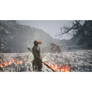 Đĩa game Black Myth Wukong PS5
