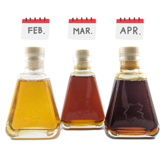 🇨🇦 Maple Syrup 100ml ✦ Vegan 🌱 Organic