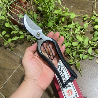 Kéo cắt cành Nhật, thép đen đúc liền khối