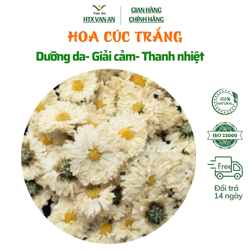 Trà hoa cúc trắng, Bạch Cúc,Giải Nhiệt,Dưỡng Da, điều hòa cơ thể, Tăng Cường Miễn Dịch