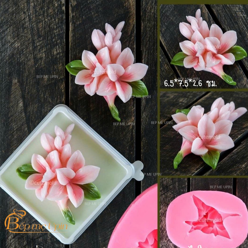 Khuôn silicon cành hoa lan Nam Phi