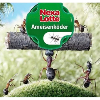 Hộp diệt gián /diệt kiến - NEXA LOTTE