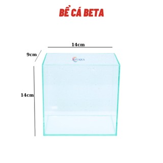 Bể cá mini BETTA nhỏ xinh để bàn