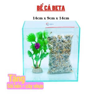 Bể cá mini BETTA nhỏ xinh để bàn