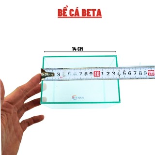 Bể cá mini BETTA nhỏ xinh để bàn