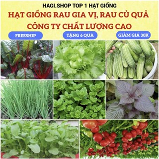 Hạt giống rau thơm, rau gia vị, rau củ quả các loại trồng quanh năm nảy mầm tốt (hàng công ty)