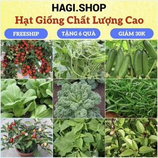 Hạt giống Rau Củ Quả trồng chậu, rau ăn lá, dây leo trồng mùa hè, nảy mầm tốt, dễ trồng, định lượng nhiều