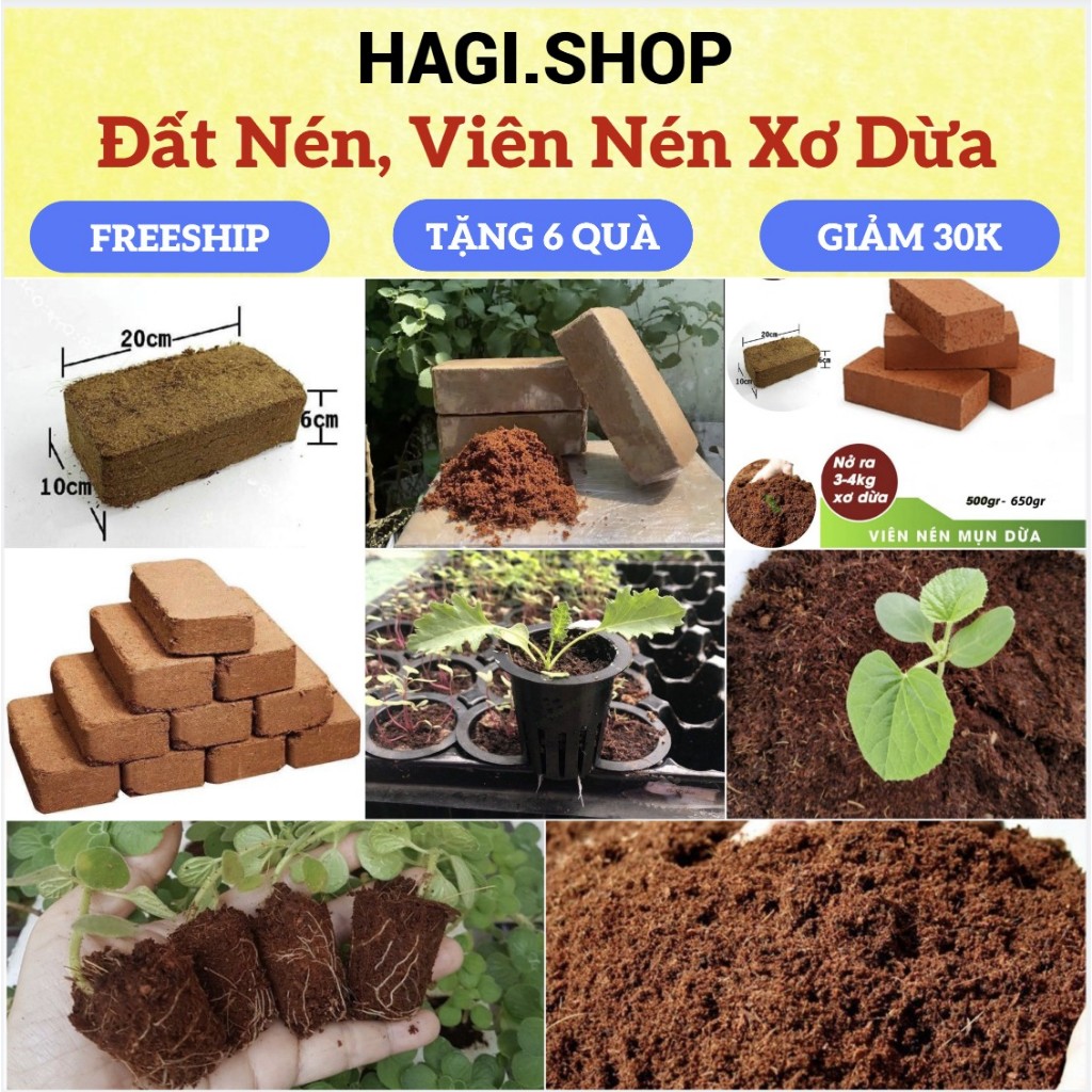 Viên đất nén hữu cơ dạng viên xơ dừa dinh dưỡng diệt trùng kháng bệnh cho cây trồng rau củ, cây cảnh
