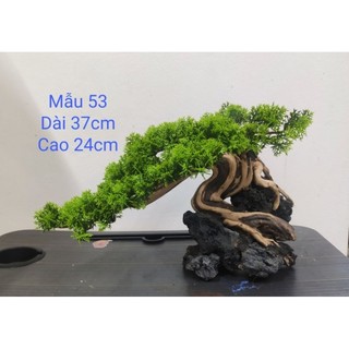 Lũa Bonsai ghép cành tùng nhựa Cho Bể Cá Cảnh Đủ Size