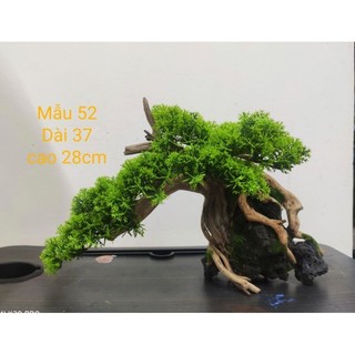 Lũa Bonsai ghép cành tùng nhựa Cho Bể Cá Cảnh Đủ Size