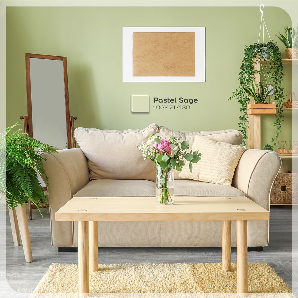 [MÀU XU HƯỚNG] Sơn tường trong nhà Dulux Easy Clean lau chùi vượt trội kháng virus