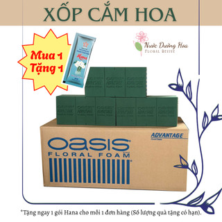   FREESHIP  Sỉ Thùng 20 viên Xốp cắm hoa OASIS chuyên dụng cắm hoa tươi giá siêu rẻ - MADE IN CHINA 