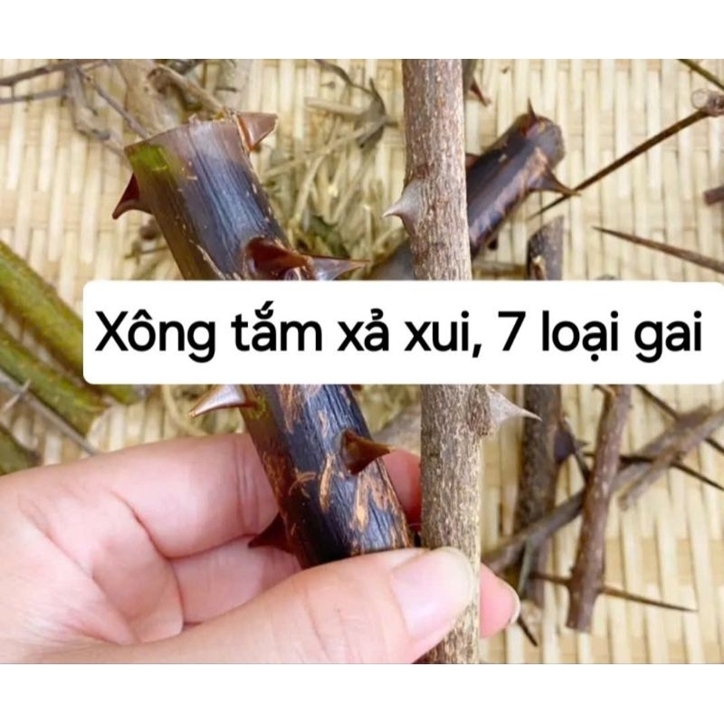 7 Loại gai tắm xả xui, phong long, treo trừ tà mang lại may mắn