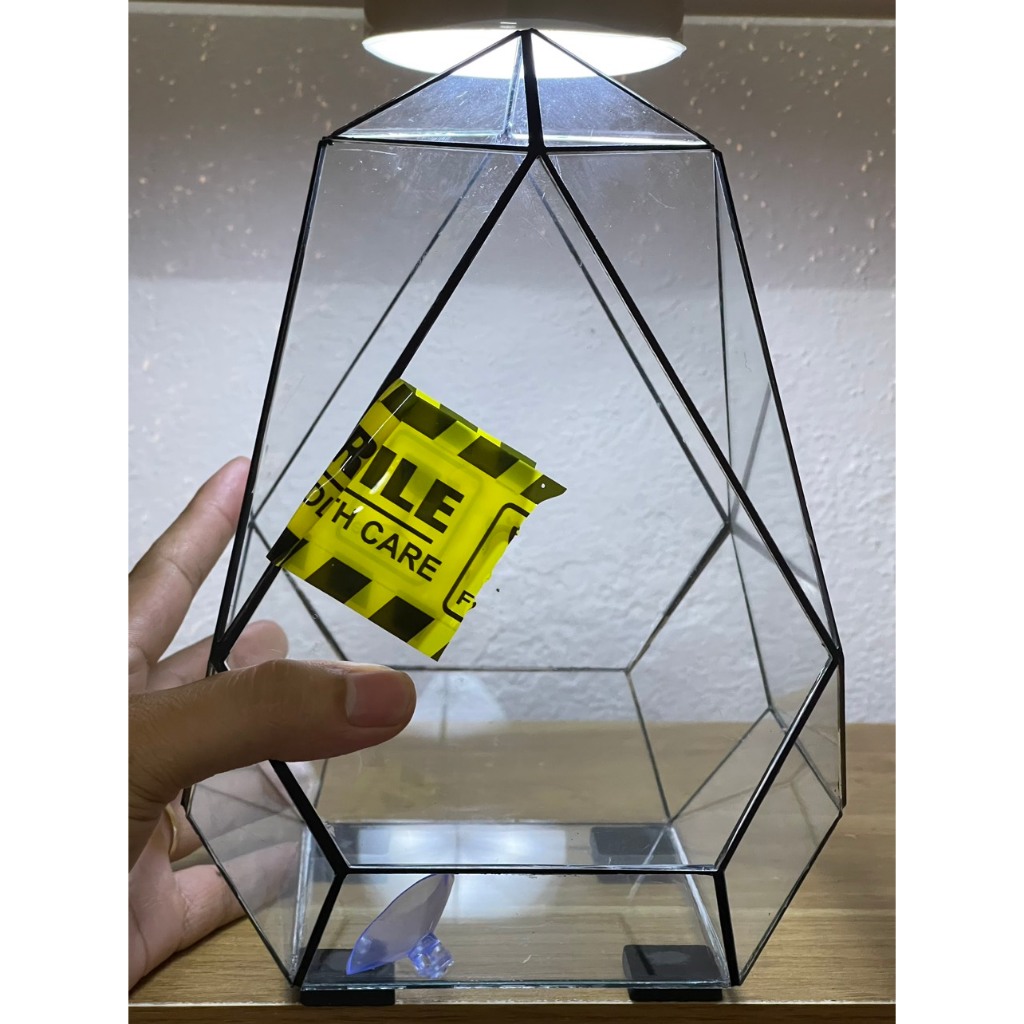 Bể Terrarium Đa Giác mã D13s Setup Bán Cạn Terrarium Có núm đồng